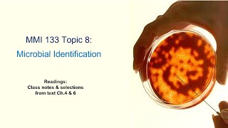 MMI 133 - 8a - Microbial Identification (microscopy & Gram staining) (Lecture Oct 8, 2020)