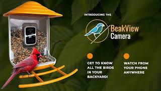 BeakView Bird Feeder Camera System - Watch Birds feed in HD video, right from your phone! screenshot 2