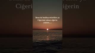 Ciğerimi Yakan Ciğerin Yansın