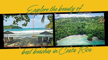 Local Transit App | Live Bus Tracking Transit App | MontonCR