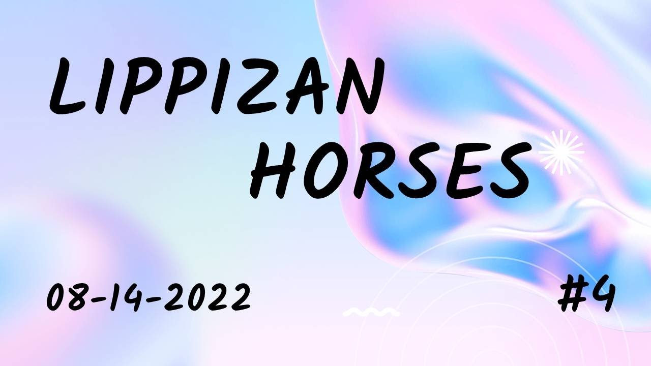 Lippizan Horses 4