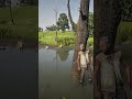 Best Survival Skills vid473