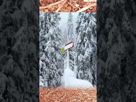 thick snow in