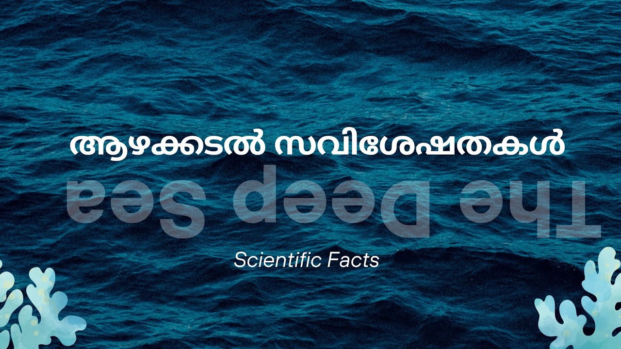 Deep sea/ആഴക്കടൽ സവിശേഷതകൾ