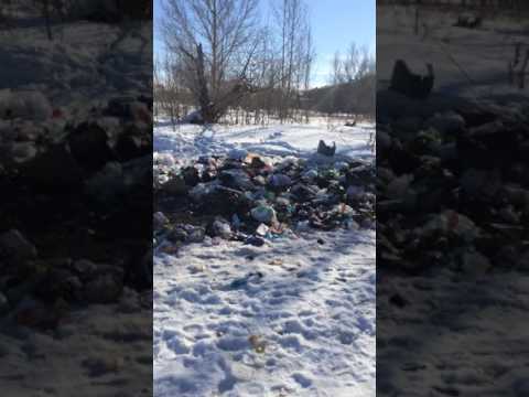 Загрязнение омск.