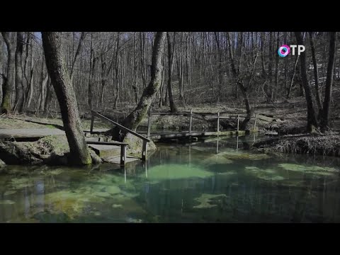 Рецепт долголетия. Почему вода бывает живой или мертвой? Стоит гора, в горе нора