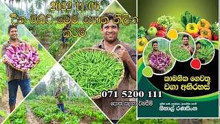 Home gardening, Home gardening, Organic gardening, Organic ,ගෙවතු වගාව ,gewathu wagawa ,kabanika