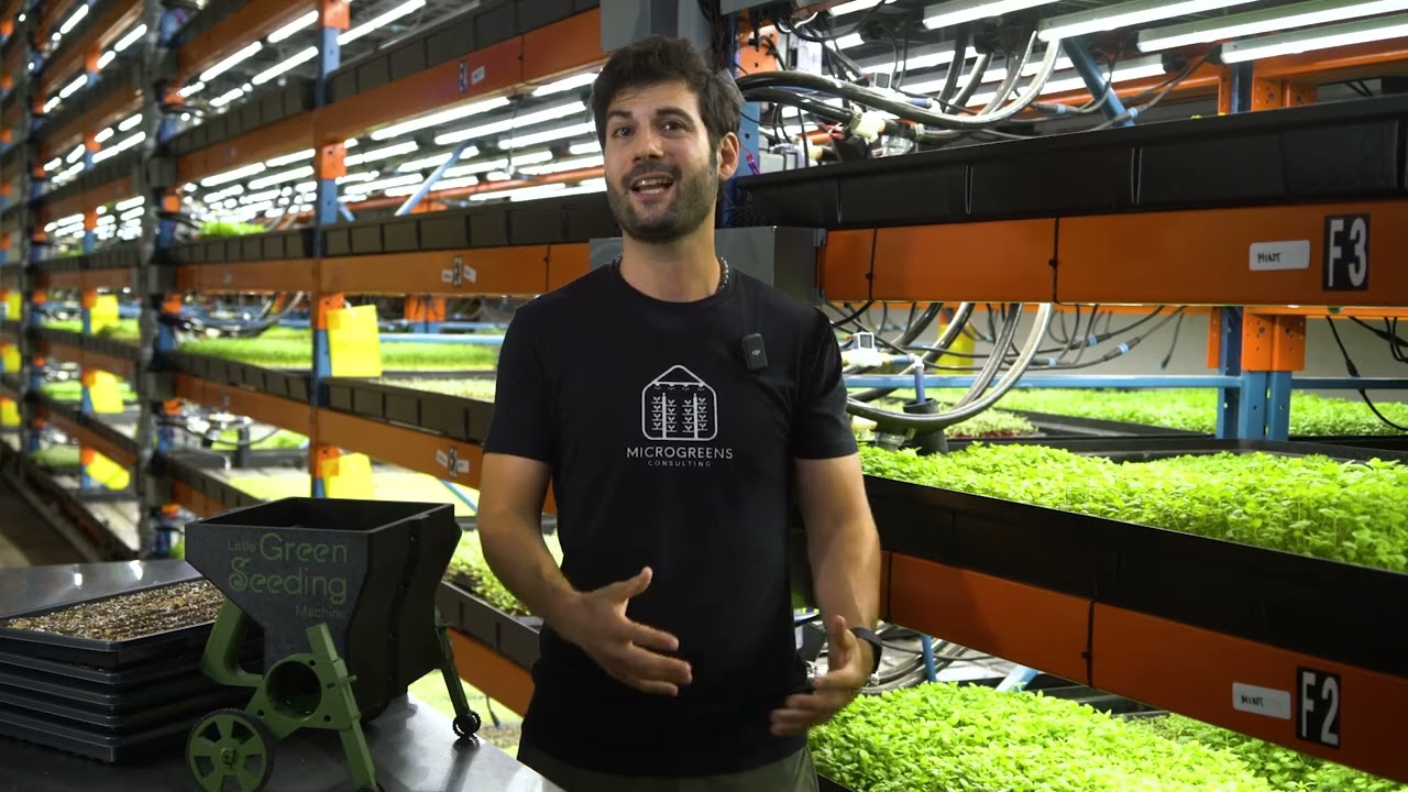 Маленькая зелёная сеялка уже здесь! 🌱🌱🌱