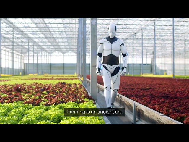 Nurturing the Golden Harvest The Republic