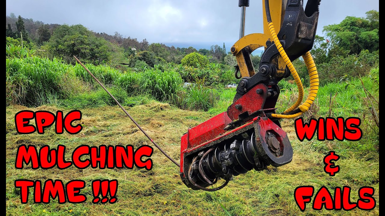 Can This Excavator Handle the Wildest Overgrowth Yet?
