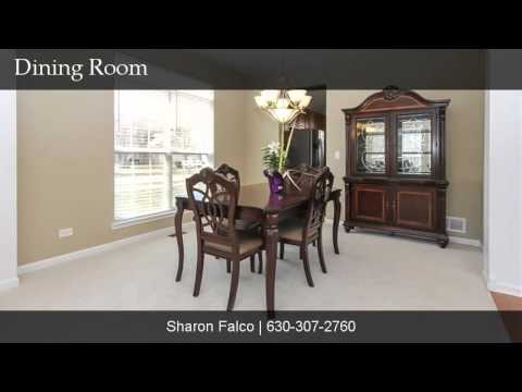 102 NETTLE LANE, Streamwood, IL home video tour
