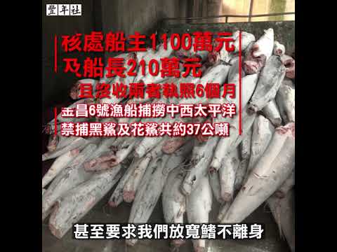 【豐年社】打擊漁業非法捕撈亂象，農委會宣示決心！