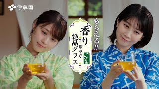 お～いお茶「香り華やぐ絶品グラス」篇