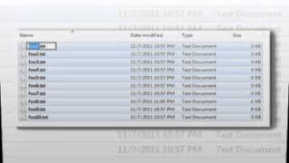 www.BatchRenameFiles.org - Rename multiple files with one click