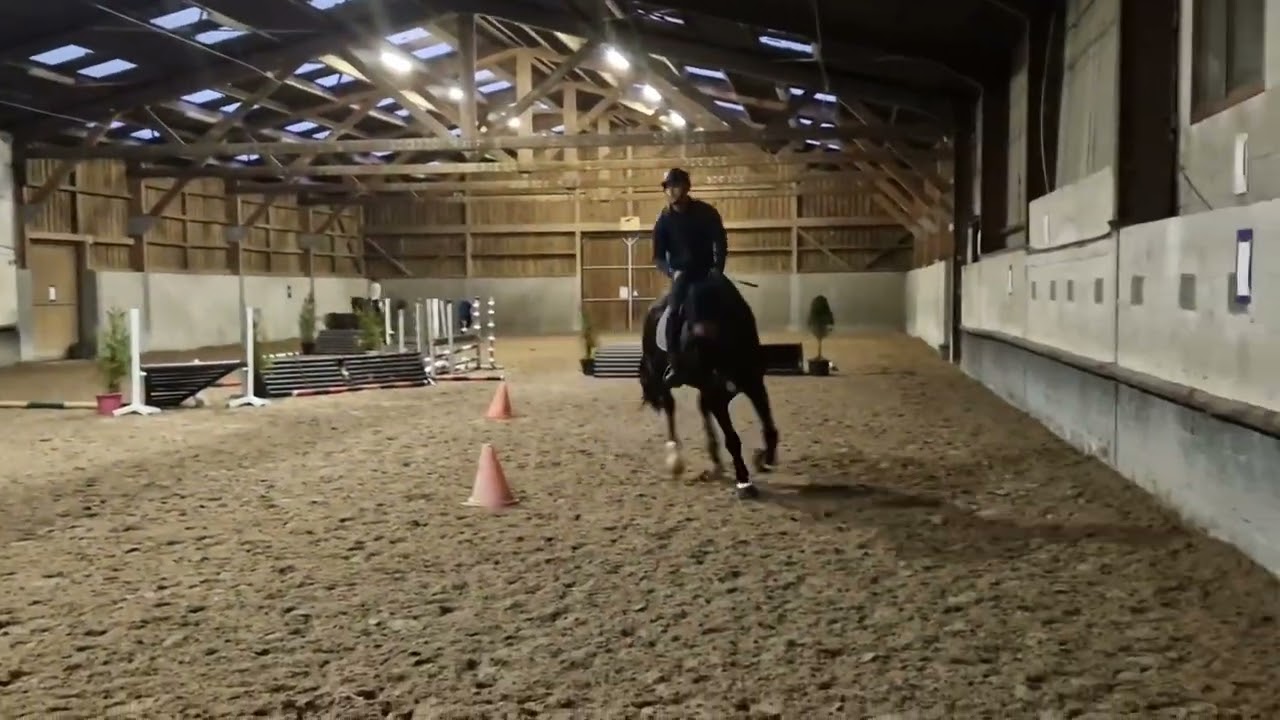 Stage GEPL avec Hendrik Degros, Toppy Hit Star, cross le 29/12/24