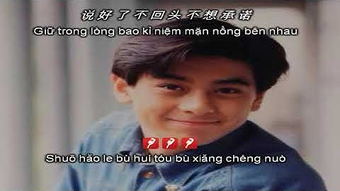 KARAOKE song ngữ WO BU HOU HUI _ 我不後悔 _ Anh không hối hận - Lâm Chí Dĩnh