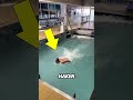 Dieser Pool zwingt dich zu schwimmen oder zu verlieren 😳🌊