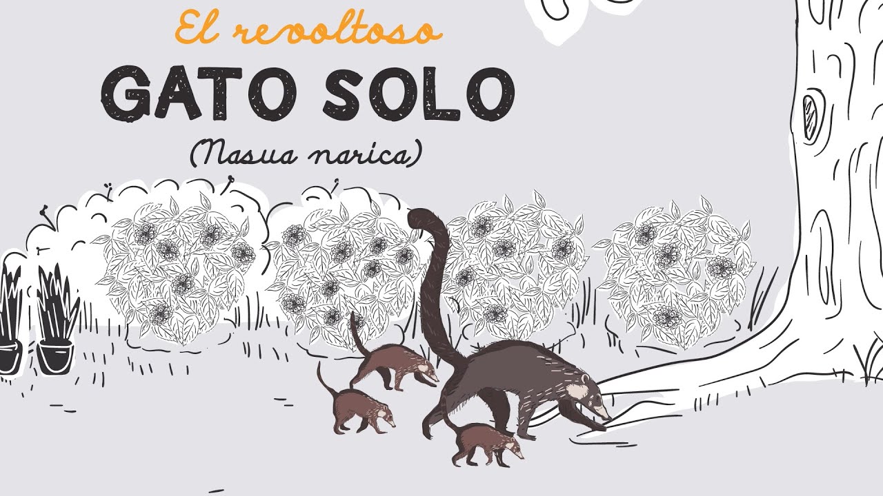 El revoltoso gato solo