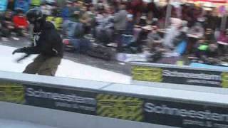 Burton Backyard Jam