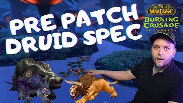 What talents should you pick on your Feral Druid in the Classic TBC Pre Patch?