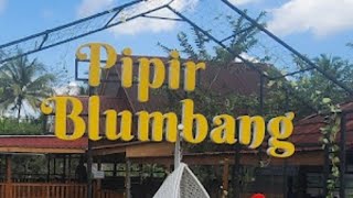 Resto 'PIPIR BLUMBANG' Suasana Sawah Pegunungan yang Adem, Murah, Lezat.