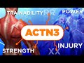 Actn3 the gene that could make or break your training