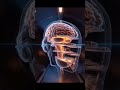 CT scan मशीन कैसे काम करता है? #ctscan #radiology #neuroscience #facts #science #viral #medicale