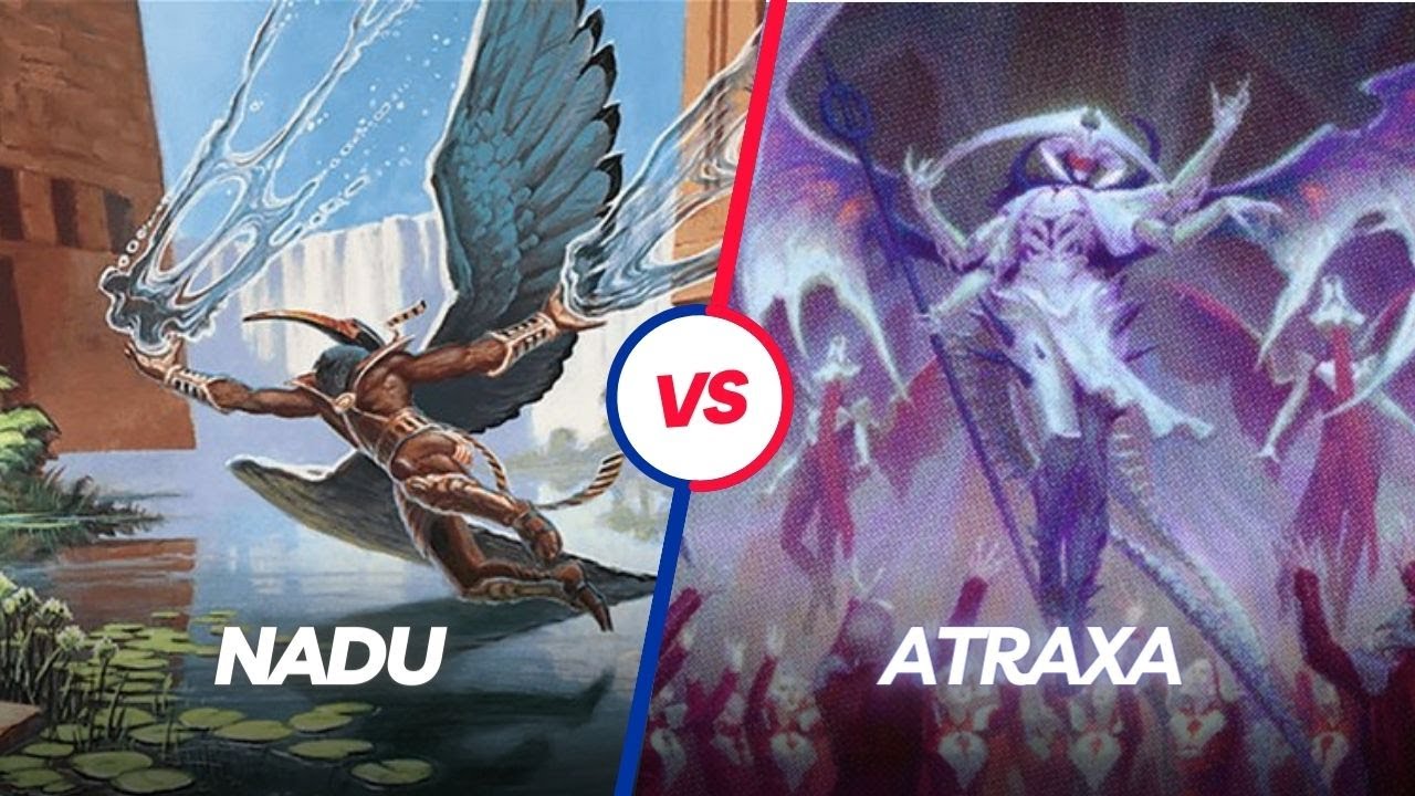 Oh no! It BACKFIRED!!! | Nadu vs Atraxa | Round 3 | 100k Battlegrounds thumbnail