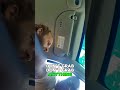 ’Welface Check’ Turns Into Handcuffs