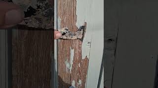 ColorTrends Painting | Springfield Missouri | Scraping Paint