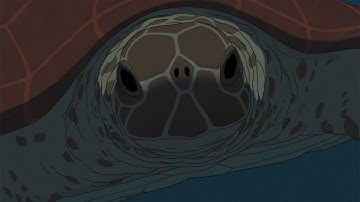 映画「レッドタートル ある島の物語」予告編