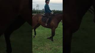 Parker Flat Work