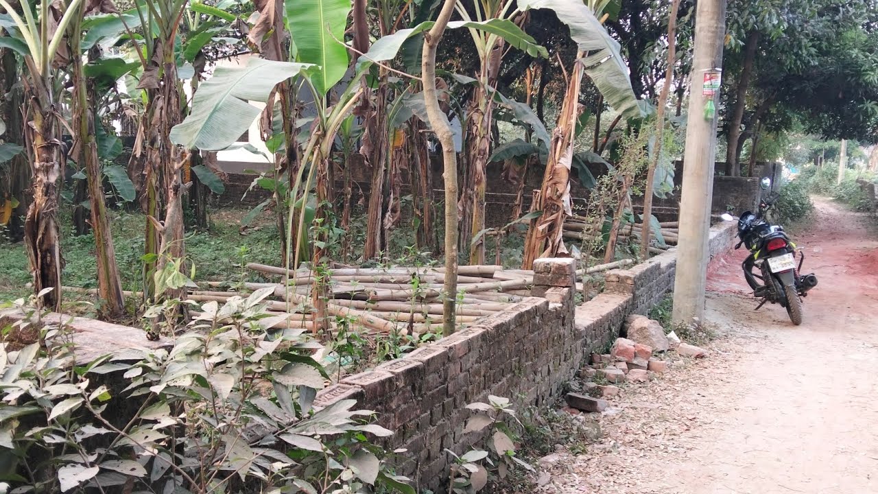 যোগাযোগ নাম্বার 01839815358