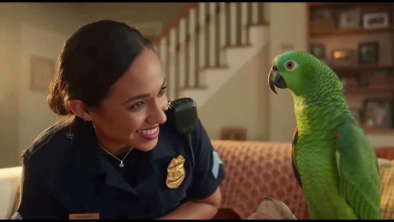 Parrot Roasts Cops in Court — Judge Can't Stop Laughing 😂