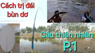 Câu Đài Tự Nhiên,Trải Nghiệm Câu Cá Khó Biện pháp Đánh đái bùn dơ Hiệu Qủa p1,tilapia fhishing /p207