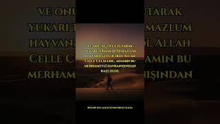 Bir Yudum Su Onu Cennetlik Yaptı 😱