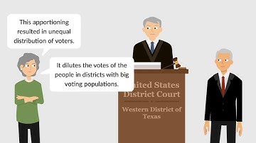 Evenwel v. Abbott Case Brief Summary | Law Case Explained