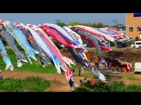 鯉のぼり250尾と久留里線 / 小櫃川中川橋付近 (千葉県袖ケ浦市） 2013