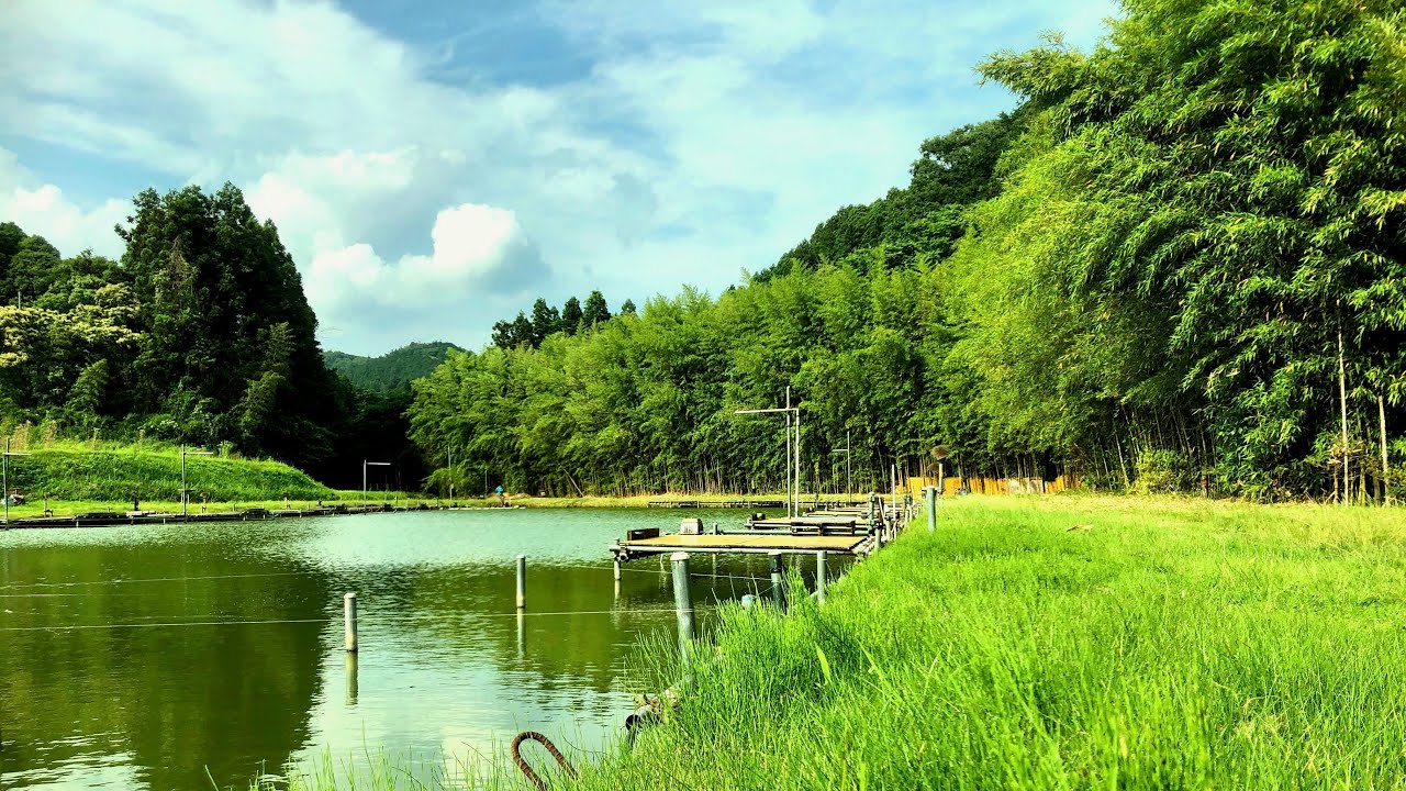 Fishing is enjoyed by a Japanese garden.【Bamboo fishing rod