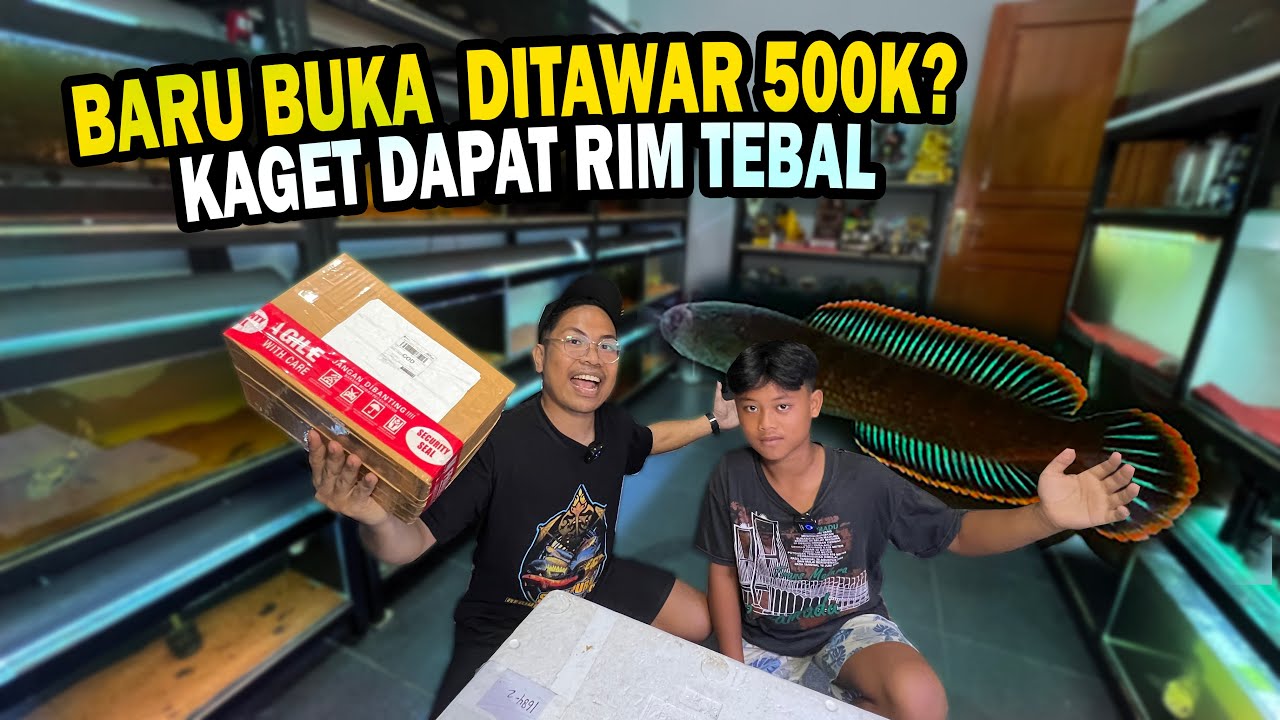 EDAN!! BARU BUKA DI TAWAR 500K OLEH BOCIL SULTAN? UNBOXING CHANNA LIMBATA RIM TEBAL