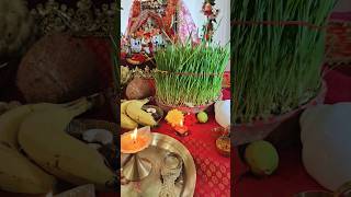 Navratri Celebration At Home। Navratri Pooja viral shortsfeed shorts navratri tranding youtube