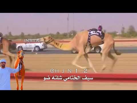 ضو لـ هجن العاصفه