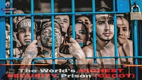 The World