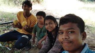 my fast vlog on mango tree for broader sister  tree forud rahay thay on youtube #vivek_long_vlog