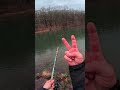 Catchin Fish To Catch Fish #outdoors #dingusstick #fyp #foryou #fishing