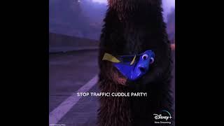 Disney | Finding Dory | 'Cuddle Party'The cutest way to stop traffic... cuddle party 🦦😍
