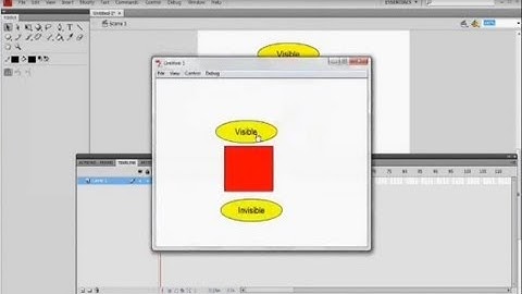 Flash - Visible And Invisible Properties