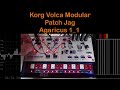Korg Volca Modular Patch Jag  Agaricus 1_1 | With Patch Sheet |🎶🔌🎹 |