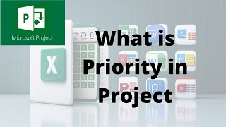 What is Priority in Microsoft Project 2024