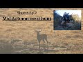 Shorts Ep.2 | Autumn Morning Meat Hunt (spiker down!)